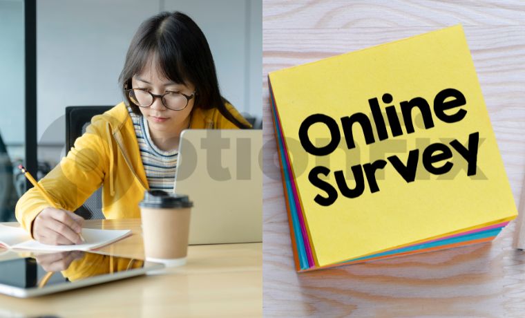 Earn Money Online: Online Surveys and Research Studies